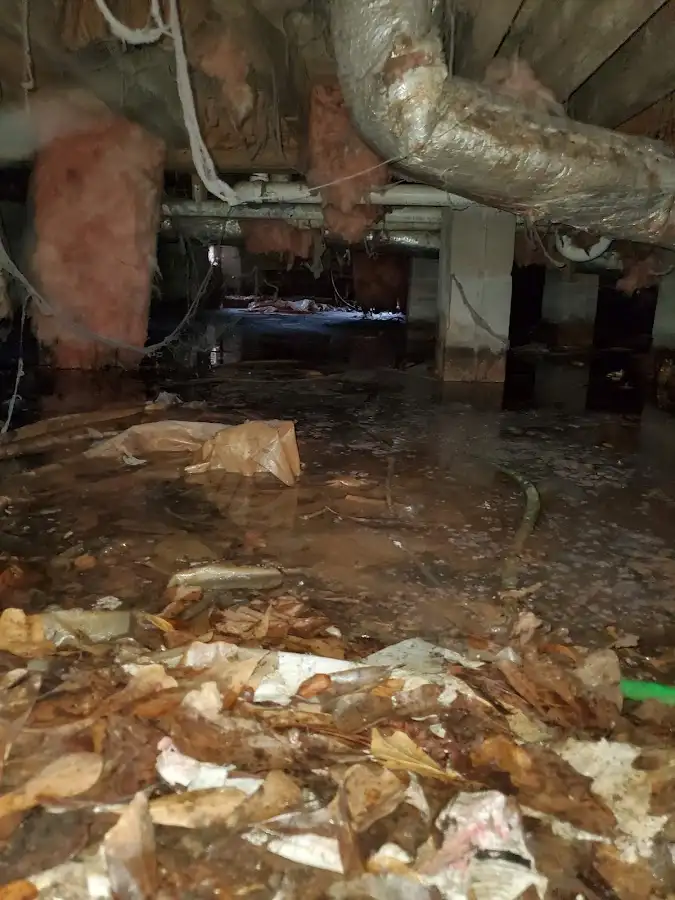 Crawl space flood assessment for Leak Detection & Repair in South Elgin